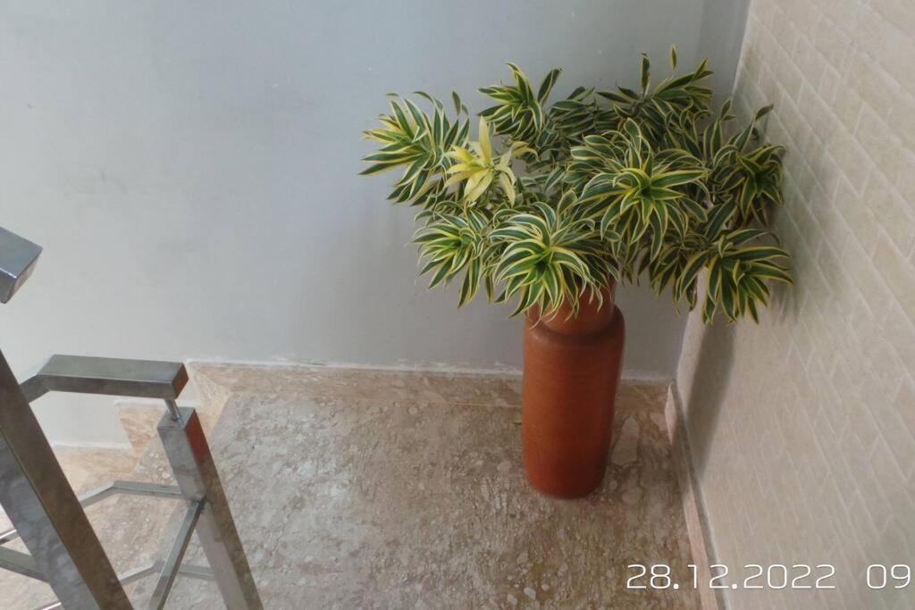Excelente Casa Com Piscina Βίλα Camaçari Εξωτερικό φωτογραφία